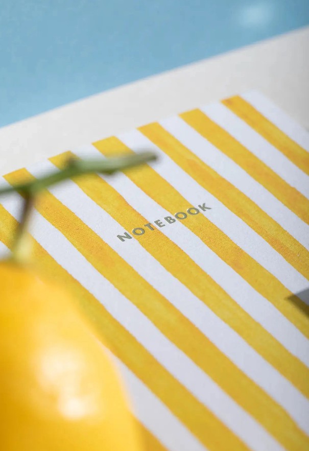 Duo de carnets de poche - Summer dachshund