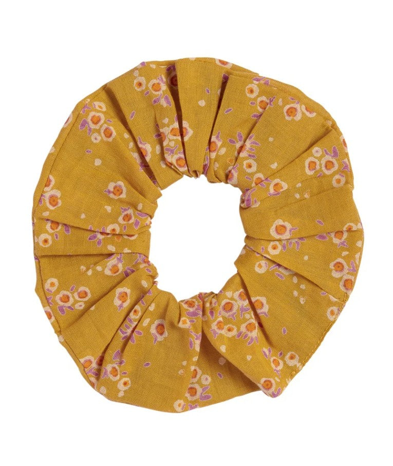 Chouchou - Itsi - Kaki