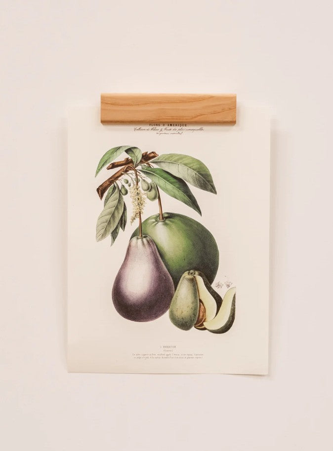 Porte affiche Raisin - A3