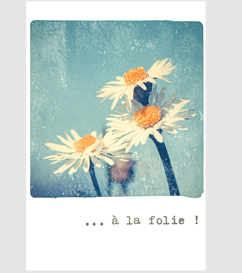Carte Paquerettes