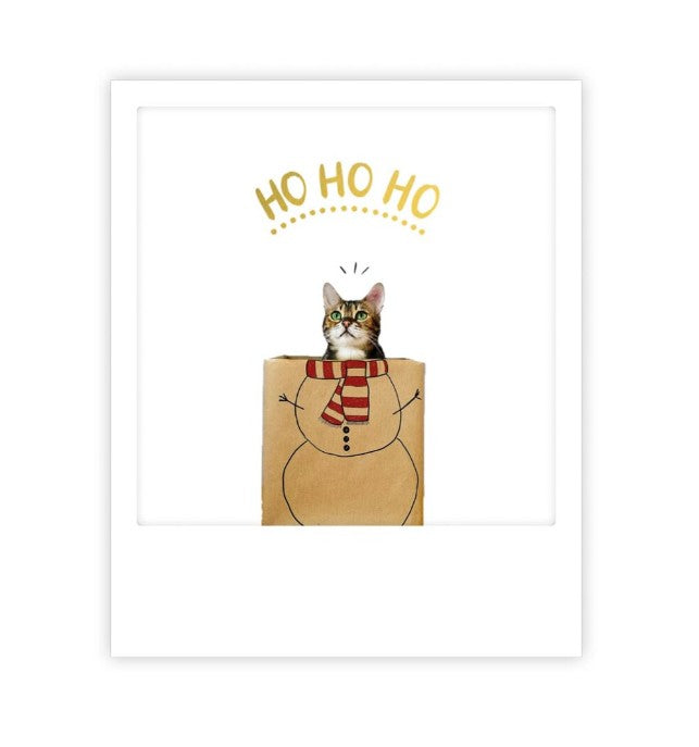 Carte postale - ho ho ho catbag - XM0252EN