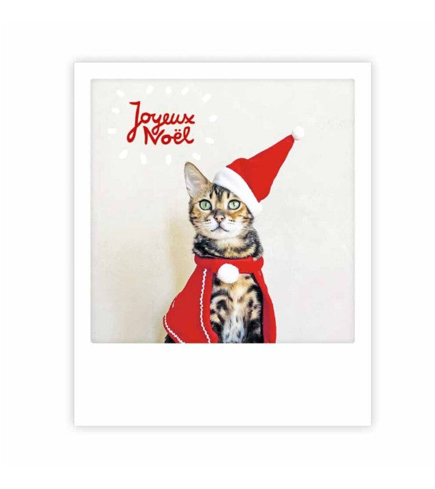 Carte postale Joyeux noel cat in red XM0317FR