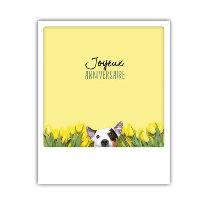 Carte postale - joyeux anniversaire - ZG0574FR