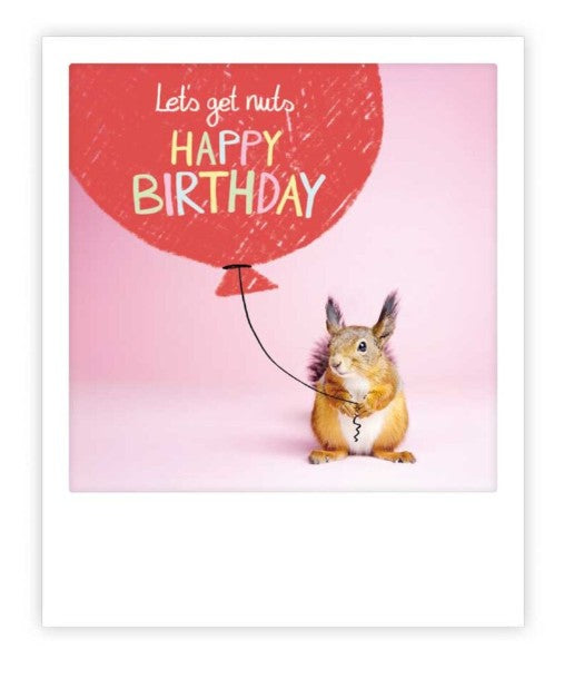 Carte postale - Let's get nuts squirrel - ZG1674EN