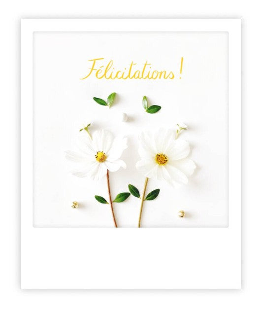 Carte postale - félicitations white flowers - ZG1682FR