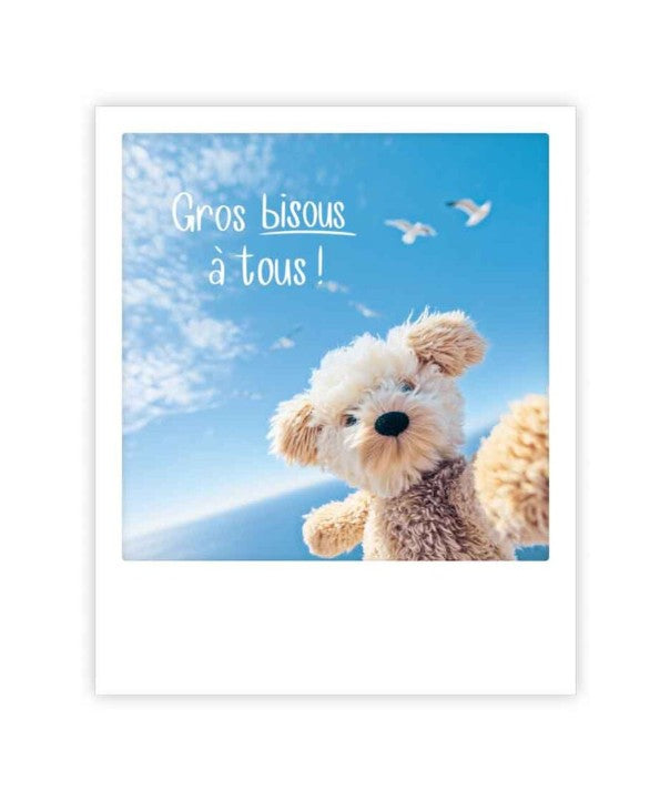 Carte postale - Gros bisous à tous - ZG1735FR