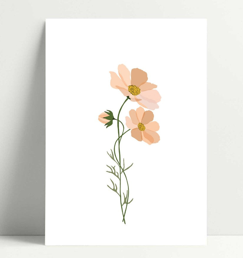 Carte simple - Cosmos 2